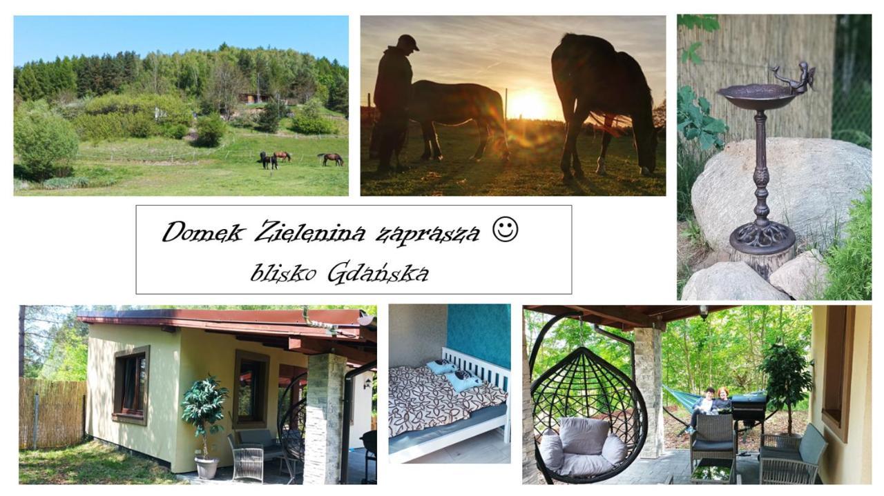 Mierzeszyn Domek Zielenina מראה חיצוני תמונה